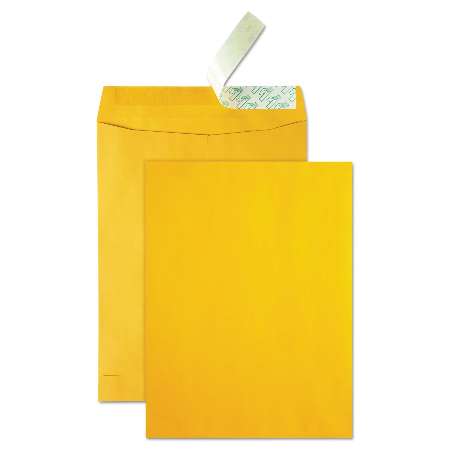 Quality Park High Bulk Catalog Envelope, 10 x 13 Inches, Kraft, Redi-Strip, Box of 250 (41620)
