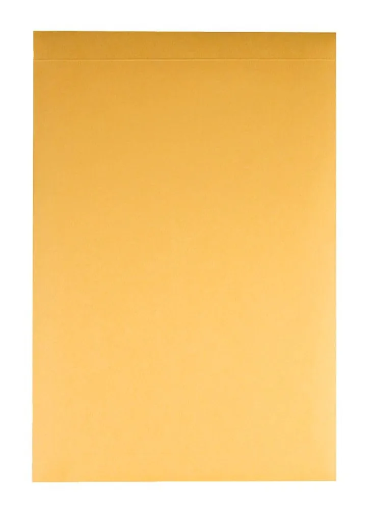 Quality Park Expansion Envelopes, Plain, 40 lbs., 10 x 13 x 2 Inches, 25 per Pack, Kraft (93336), Light Brown