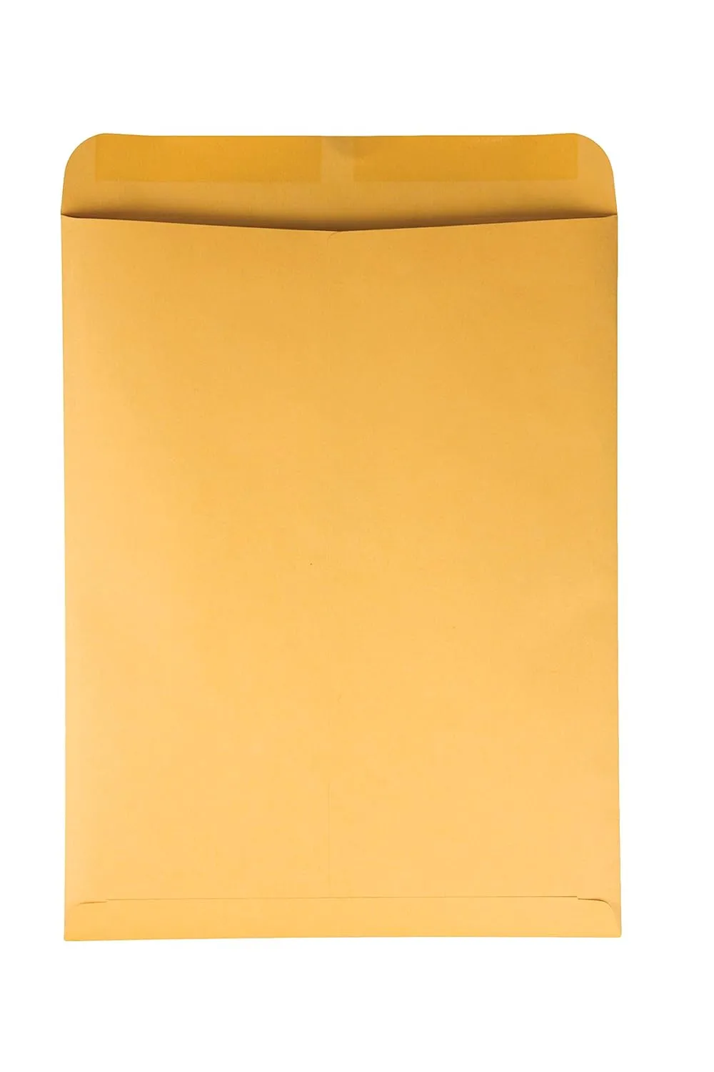 Quality Park Catalog Mailing Envelopes, 12 x 15-1/2 Envelopes, Gummed, Heavy 28 lb. Kraft Paper, For Mailing, Organizing and Storage, 250 per Box (QUA41965), Light Brown