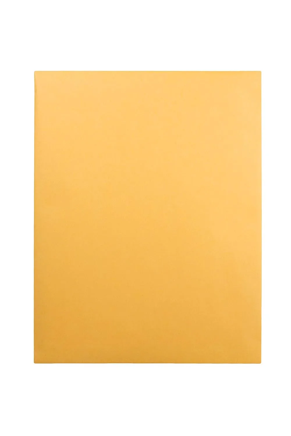 Quality Park Catalog Mailing Envelopes, 12 x 15-1/2 Envelopes, Gummed, Heavy 28 lb. Kraft Paper, For Mailing, Organizing and Storage, 250 per Box (QUA41965), Light Brown