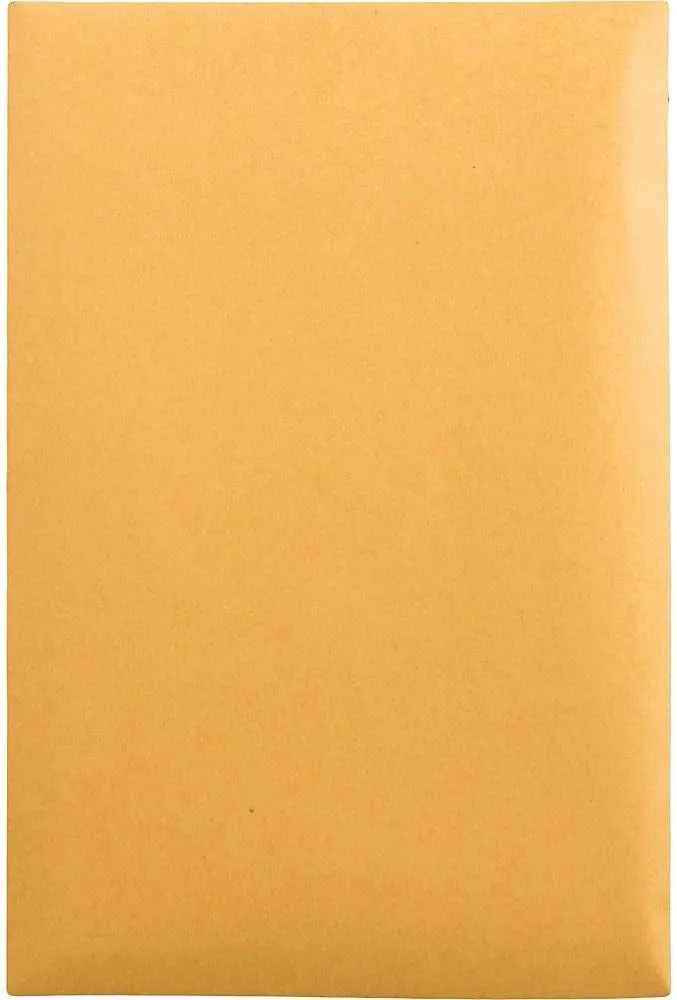Quality Park 6 x 9 Catalog Mailing Envelopes, Redi-Strip Self Seal Envelope Closure, 28 lb Kraft Paper, 100 per Box (QUA44162)