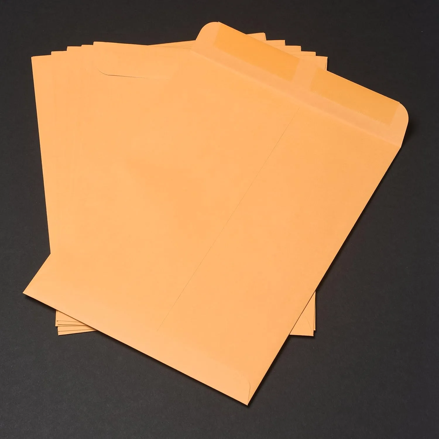 Quality Park Catalog Envelopes, 9 x 12, 28 lb Kraft, Gummed Flap, 100/Box