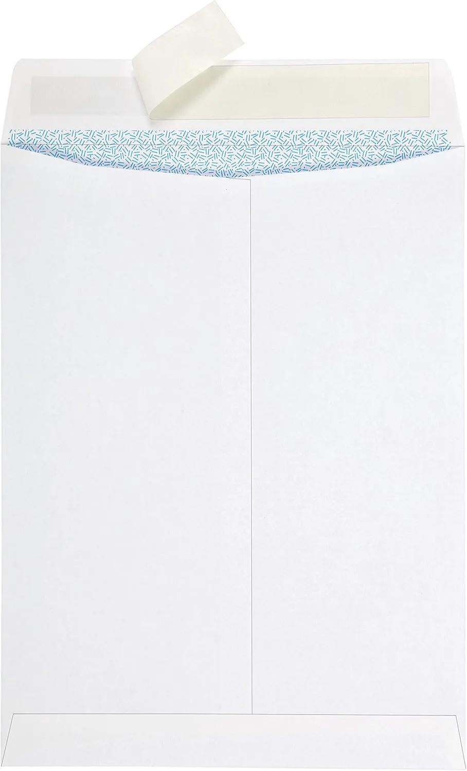 Quality Park Redi-Strip Security Mailing Envelopes, 9 x 12, 100/Box