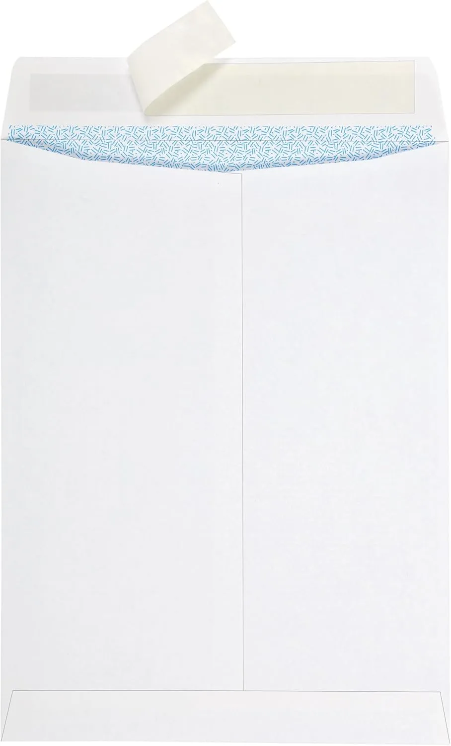 Quality Park Redi-Strip Security Mailing Envelopes, 9 x 12, 100/Box