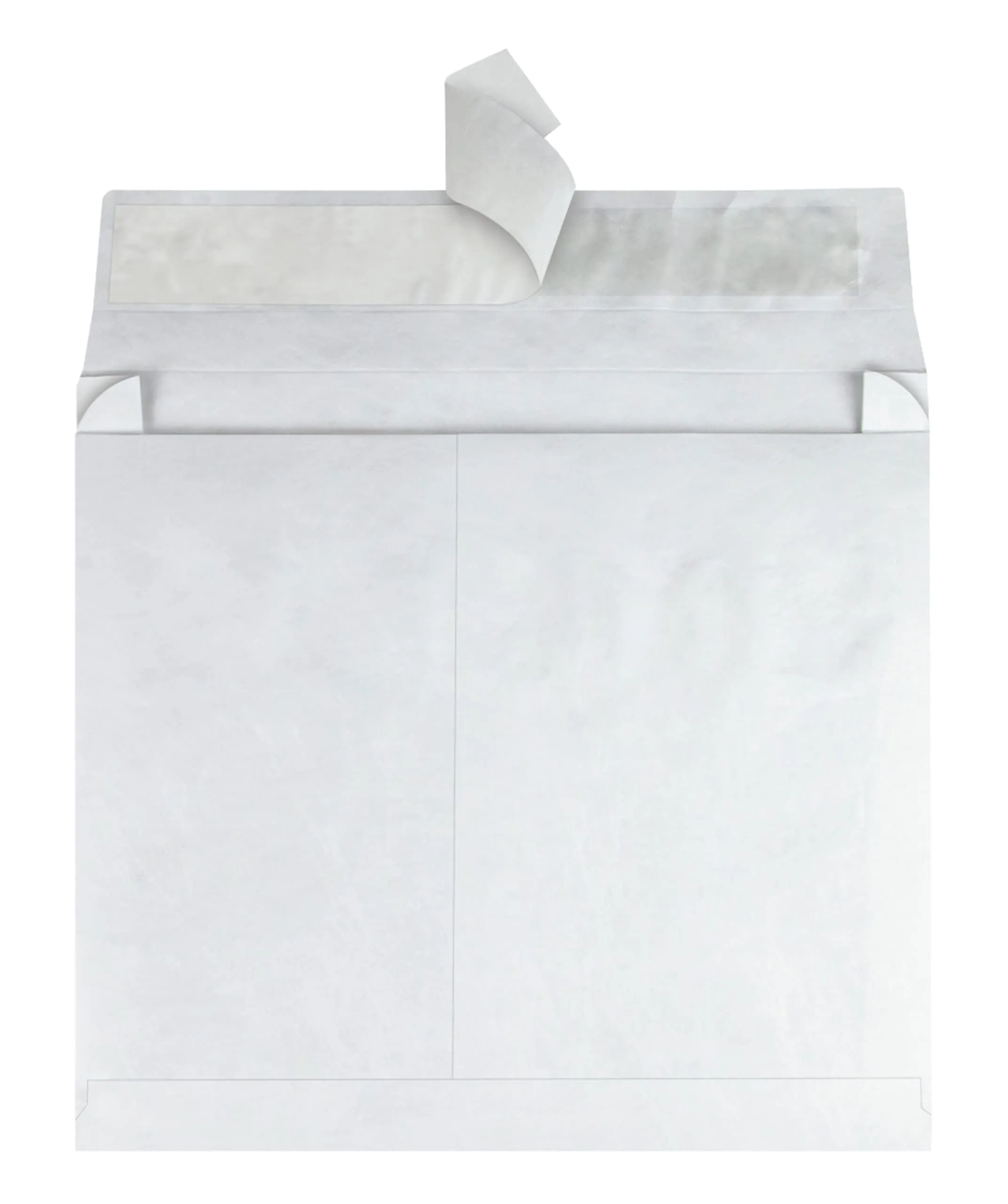 Quality Park Tyvek Expansion Envelopes, 10 x 15 x 2 inches, Box of 100