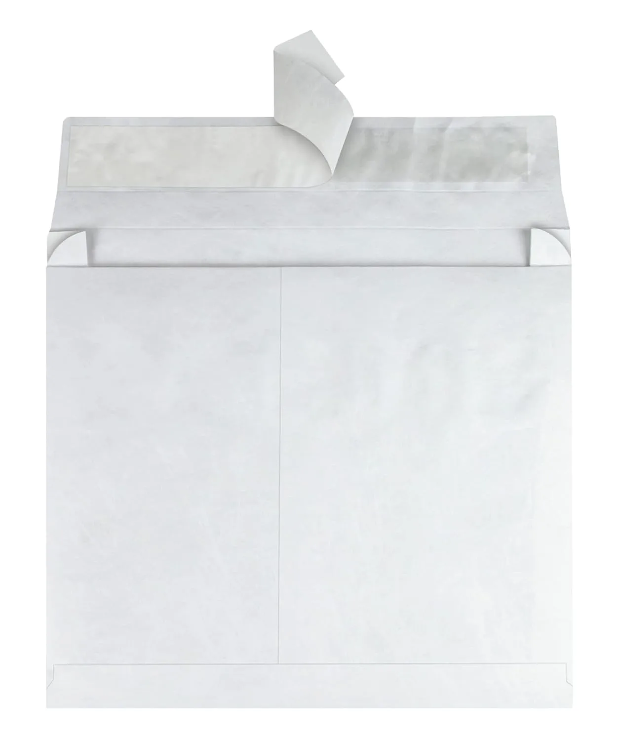 Quality Park Tyvek Expansion Envelopes, 10 x 15 x 2 inches, Box of 100