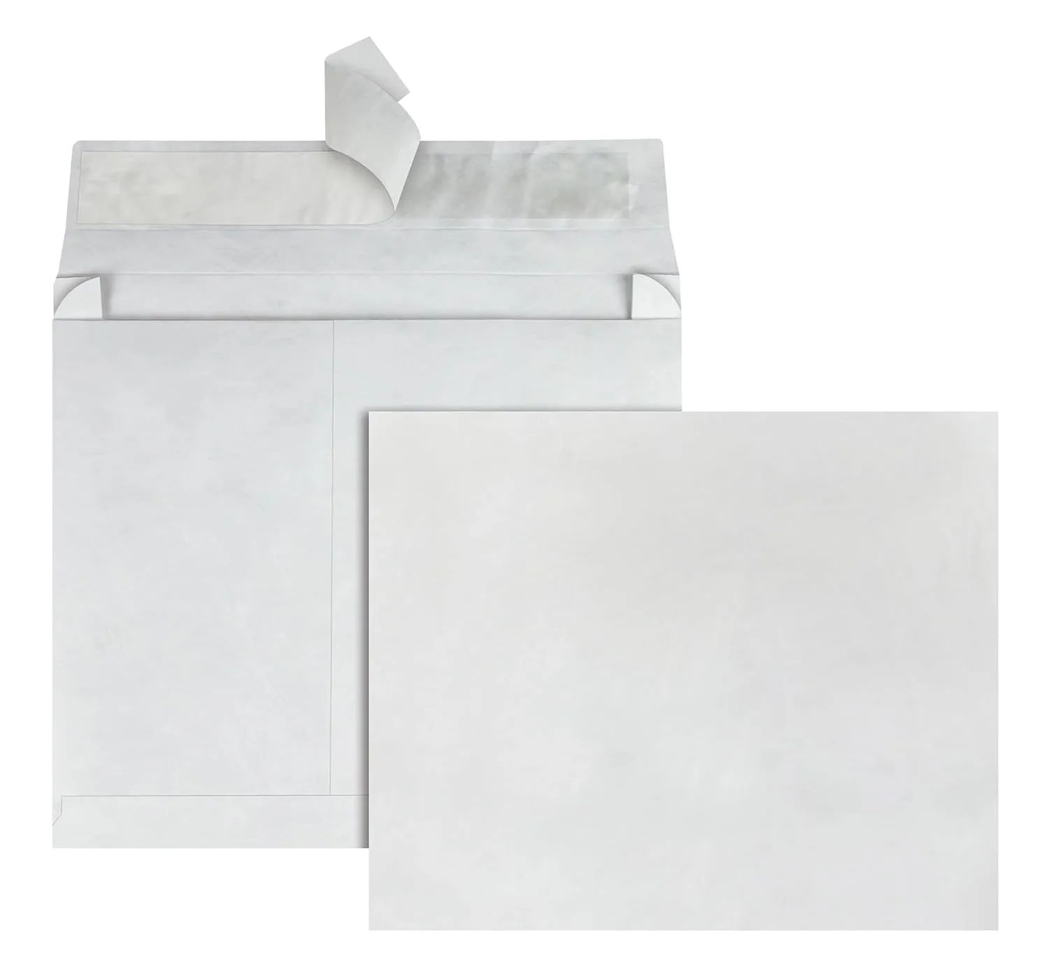Quality Park Tyvek Expansion Envelopes, 10 x 15 x 2 inches, Box of 100