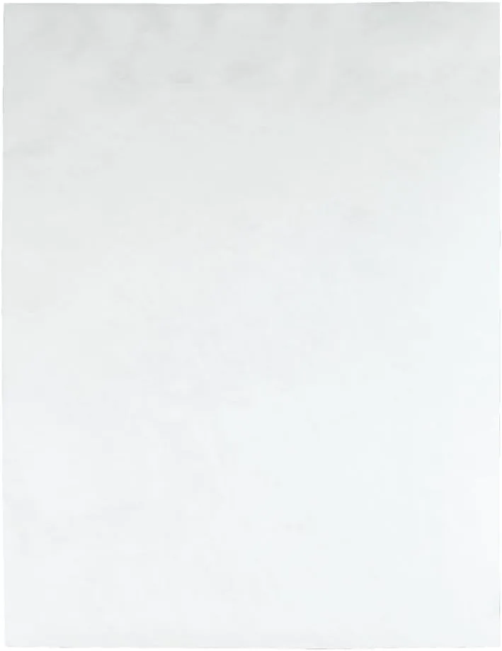 Quality Park Survivor R1580 Tyvek Mailer, 10 x 13, White (Box of 100)