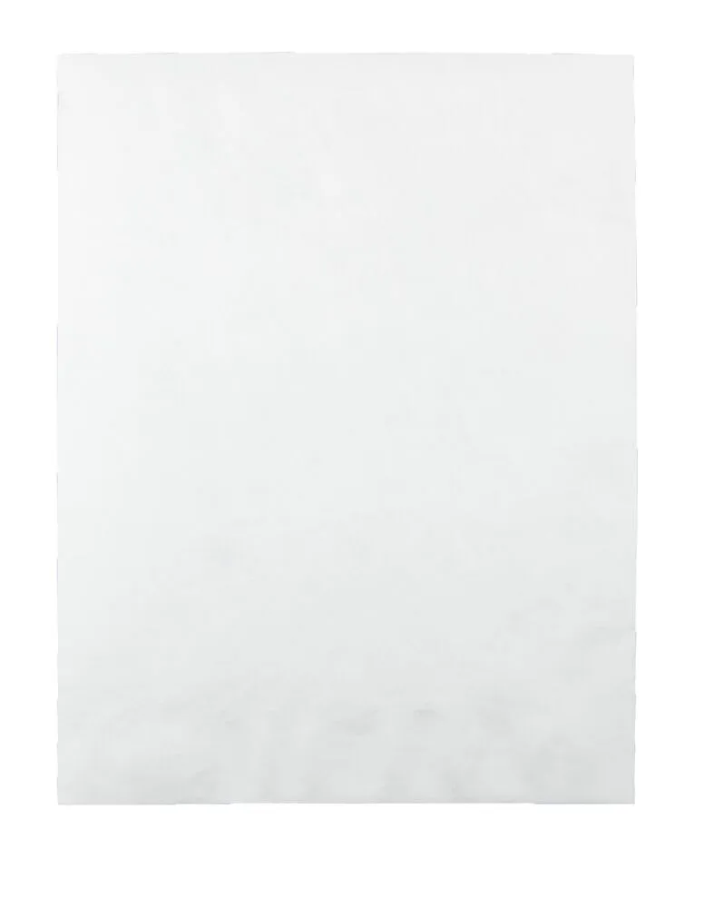 Quality Park Survivor Tyvek Mailers, 10 x 13, Self-Seal, 50/Box