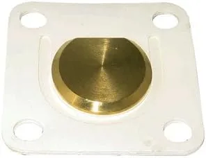 Raritan Flapper Valve Assembly for Phii and Pheii