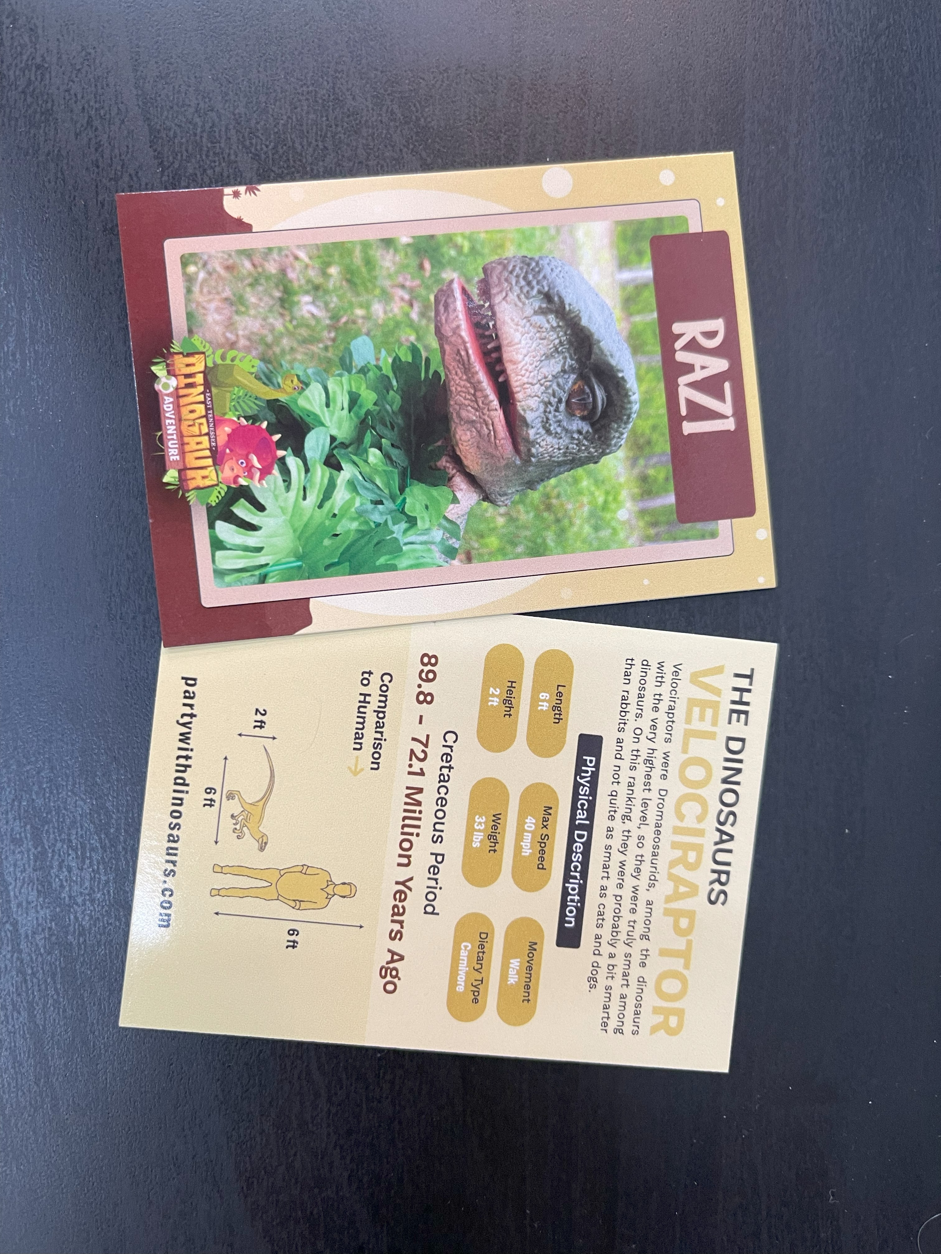 Custom Dinosaur Trading Cards