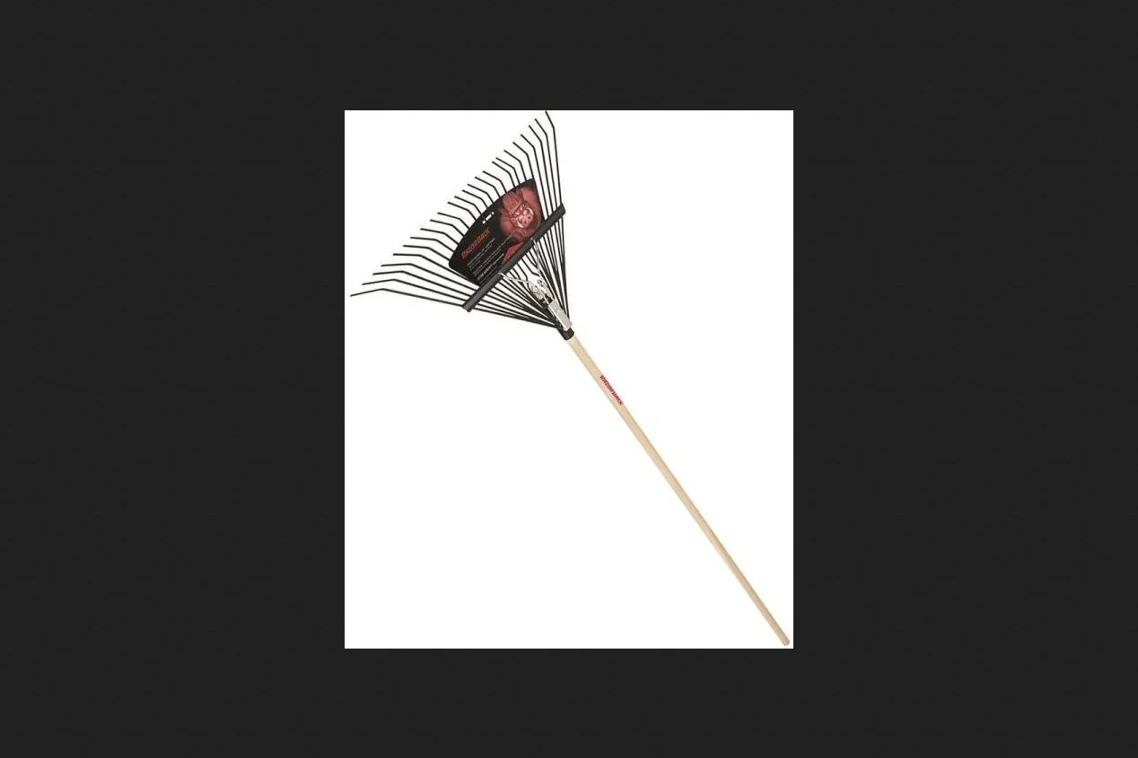 AMES 24 Tine Steel Head 23 in W 54 in Handle Leaf Rake