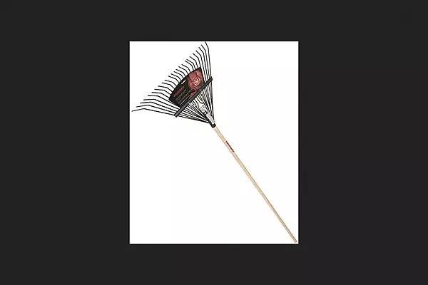AMES 24 Tine Steel Head 23 in W 54 in Handle Leaf Rake