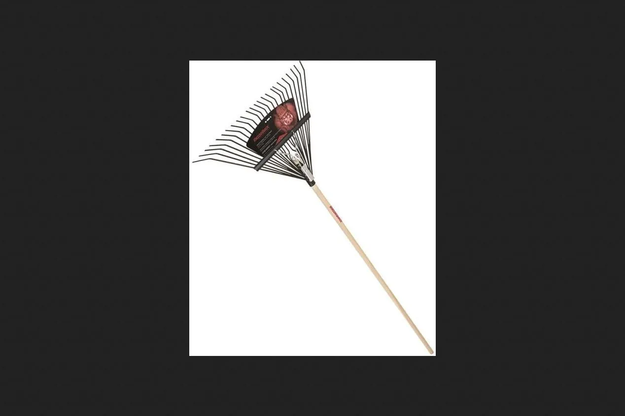 AMES 24 Tine Steel Head 23 in W 54 in Handle Leaf Rake