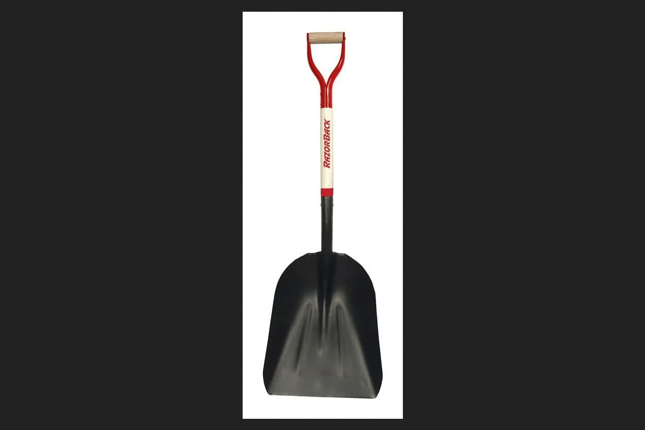 Razor-Back Steel Multicolored Scoop