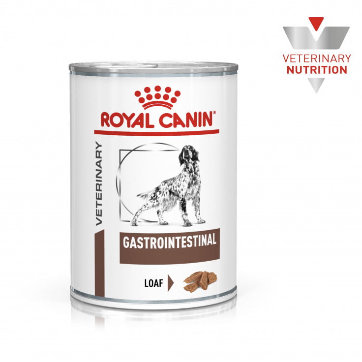 Vet Health Nutrition Canine GastroIntestinal (WET FOOD - Cans)  400G Vet Health Nutrition Canine GastroIntestinal (WET FOOD - Cans)  400G