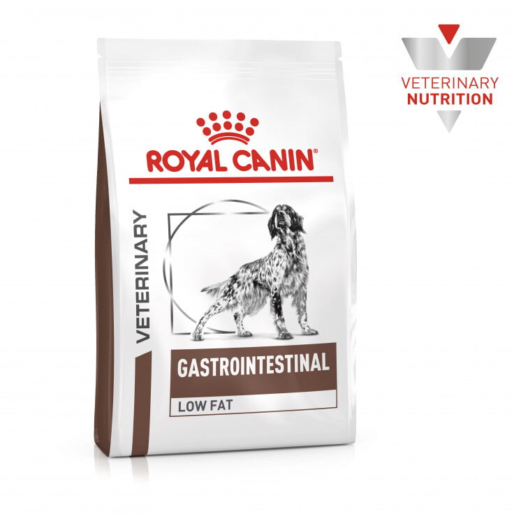 Vet Health Nutrition Canine GastroIntestinal LOW FAT 6 KG
