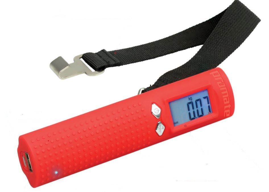 Handheld Digital Weighing Scale