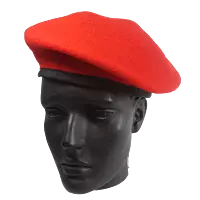 Security Beret