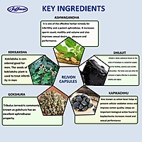 Rejvon Capsules