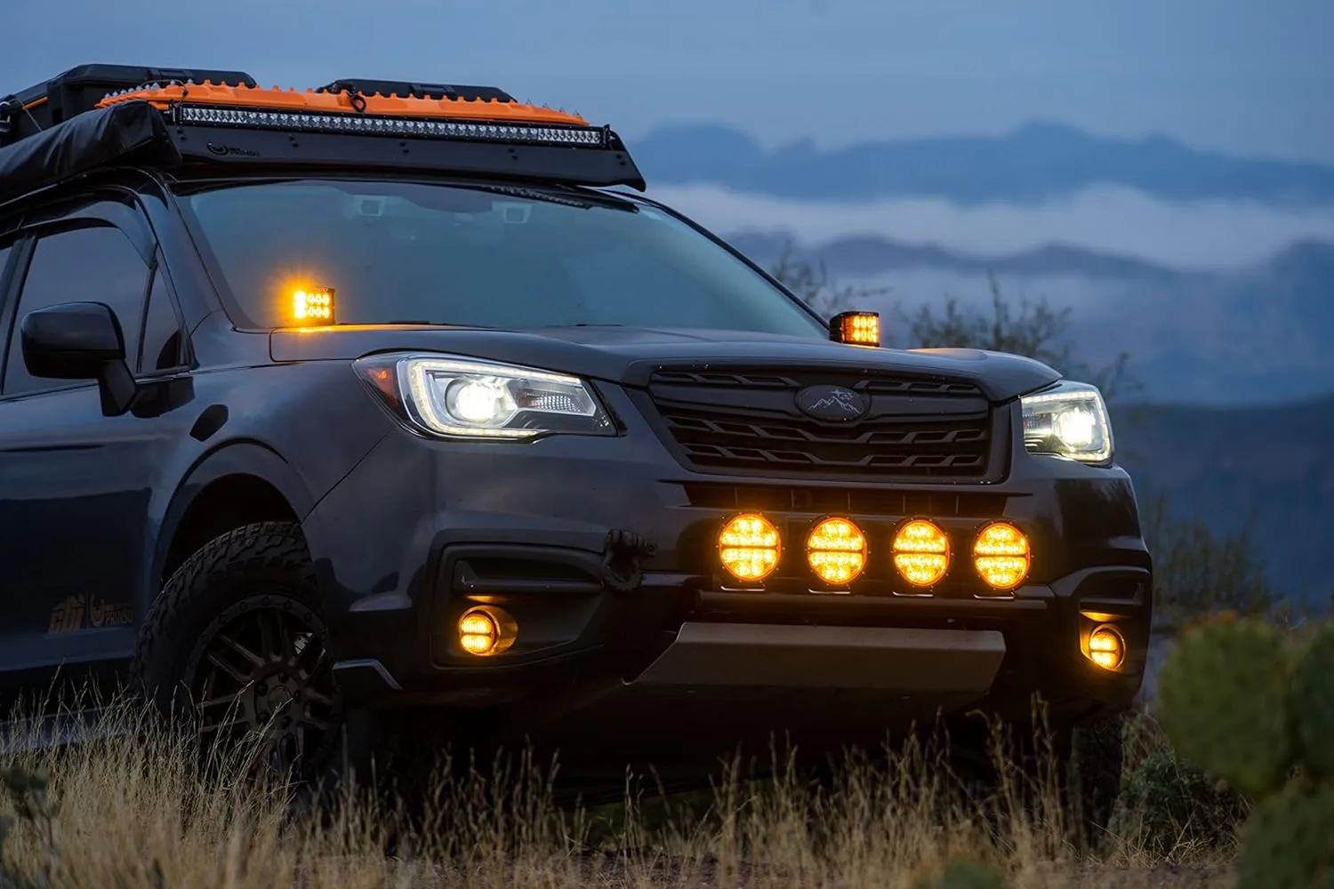 RIGID INDUSTRIES D-SS Spot with Amber PRO Lens - Pair (262214)