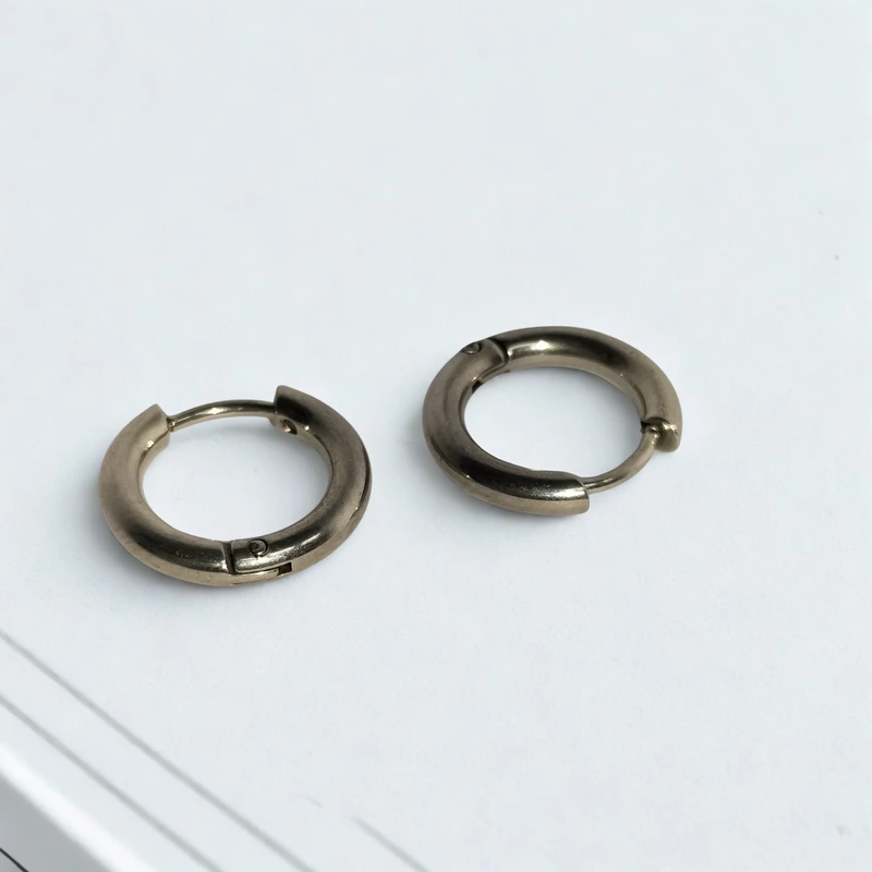 Ring Earrings