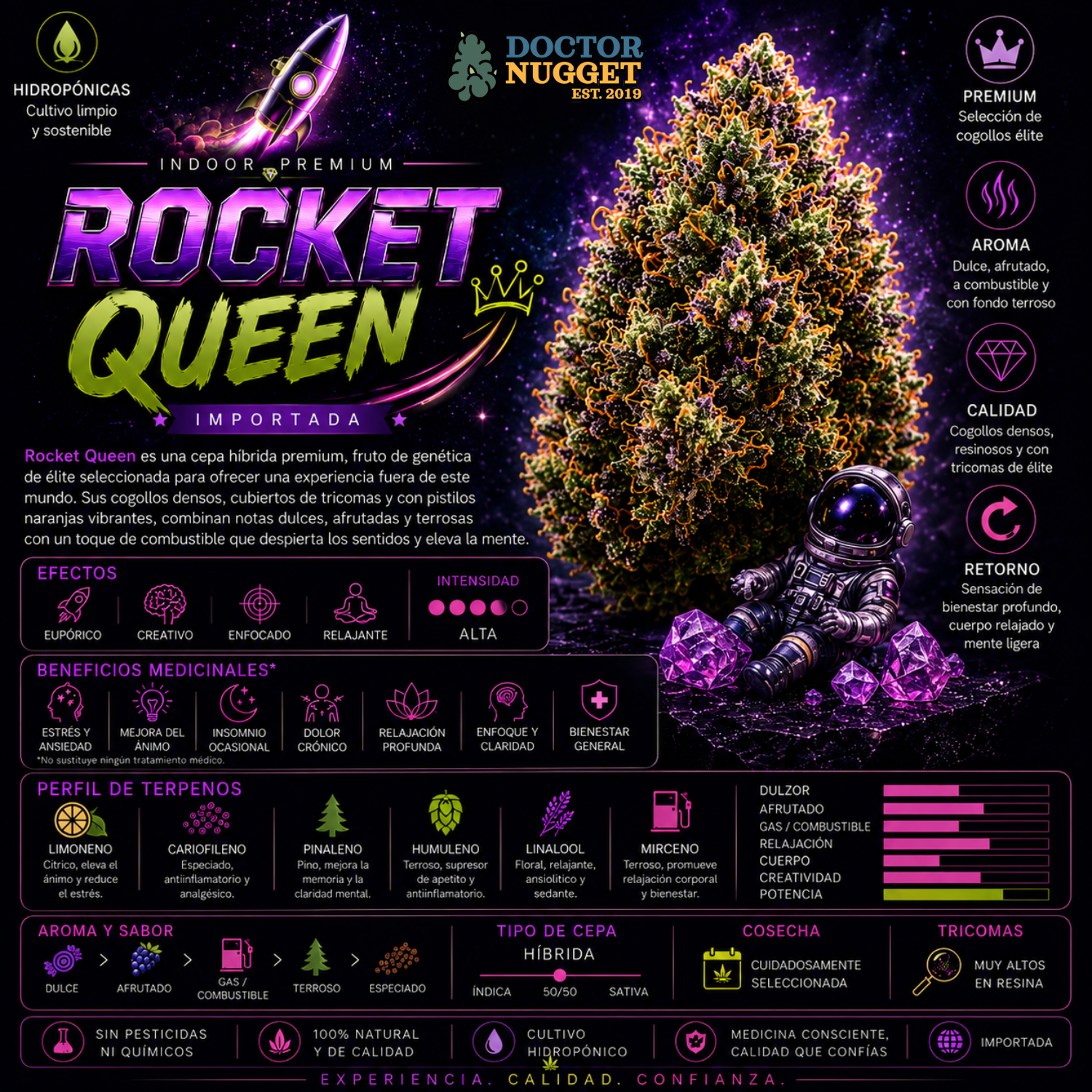 Dr. Nugget Rocket Queen THC Flor