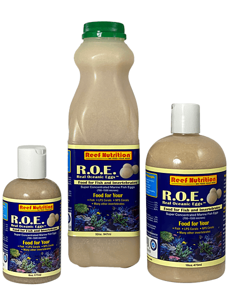 R.O.E. - Real Oceanic Eggs