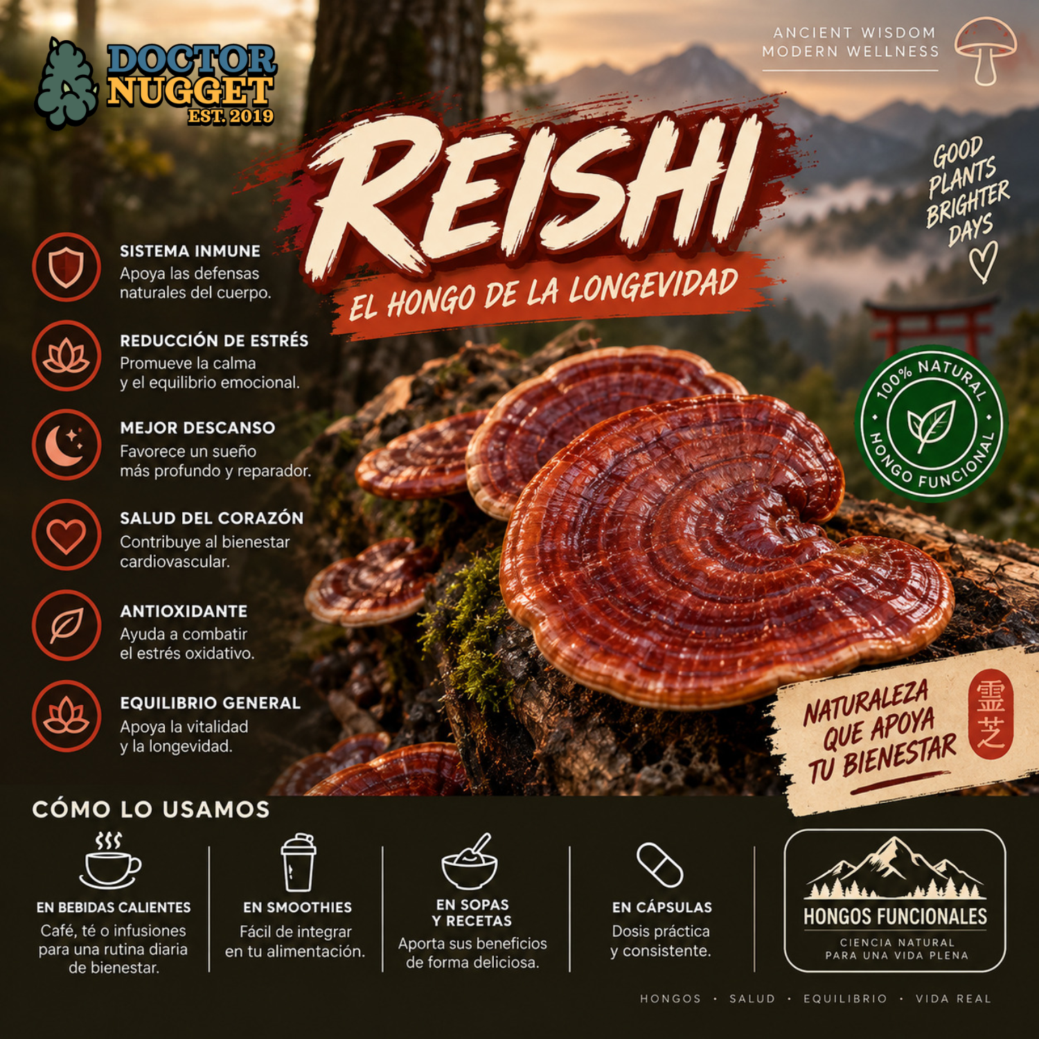 Reishi Ganoderma Lucidum Hongo Funcional Seco