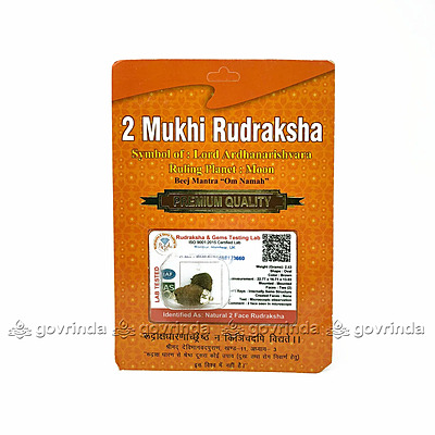 2 Mukhi Rudraksha Original Certified Bead - Natural Indian 2 Mukhi Rudraks for Meditation and Prayer, Protection, Chakra Balancing