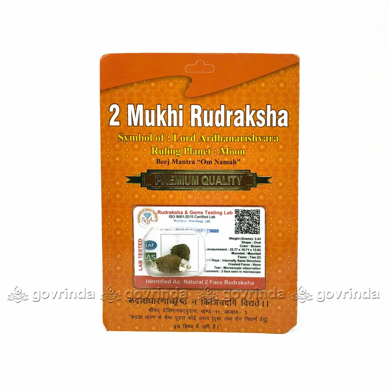 2 Mukhi Rudraksha Original Certified Bead - Natural Indian 2 Mukhi Rudraks for Meditation and Prayer, Protection, Chakra Balancing