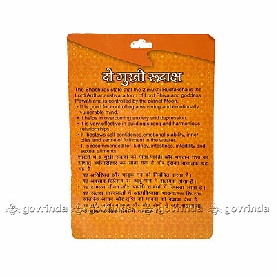 2 Mukhi Rudraksha Original Certified Bead - Natural Indian 2 Mukhi Rudraks for Meditation and Prayer, Protection, Chakra Balancing