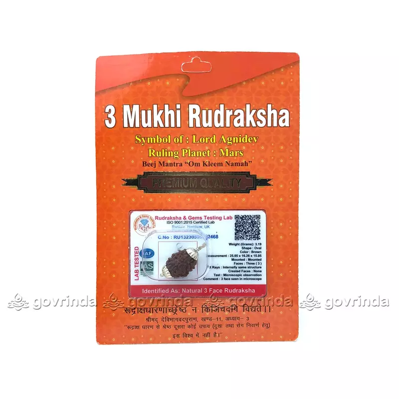 3 Mukhi Rudraksha