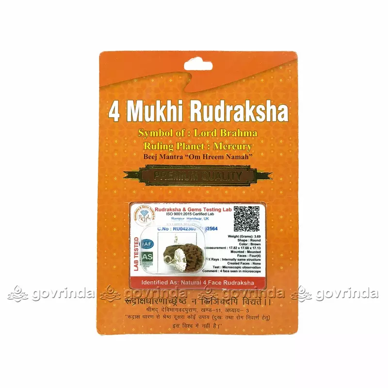4 Mukhi Rudraksha