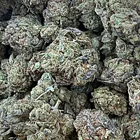 Runtz OG Indoor Importada Premium