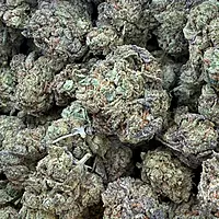 Runtz OG Indoor Importada Premium
