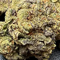 Runtz OG Indoor Importada Premium