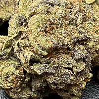 Runtz OG Indoor Importada Premium