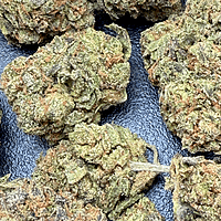 Runtz OG Indoor Importada Premium