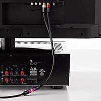 2-Male to 1-Female RCA Y-Adapter