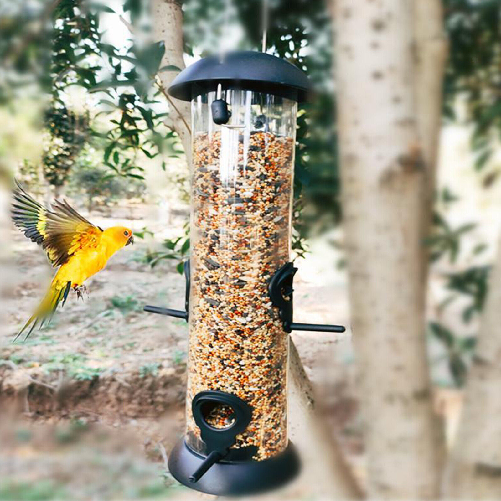 Classic Bird Feeder
