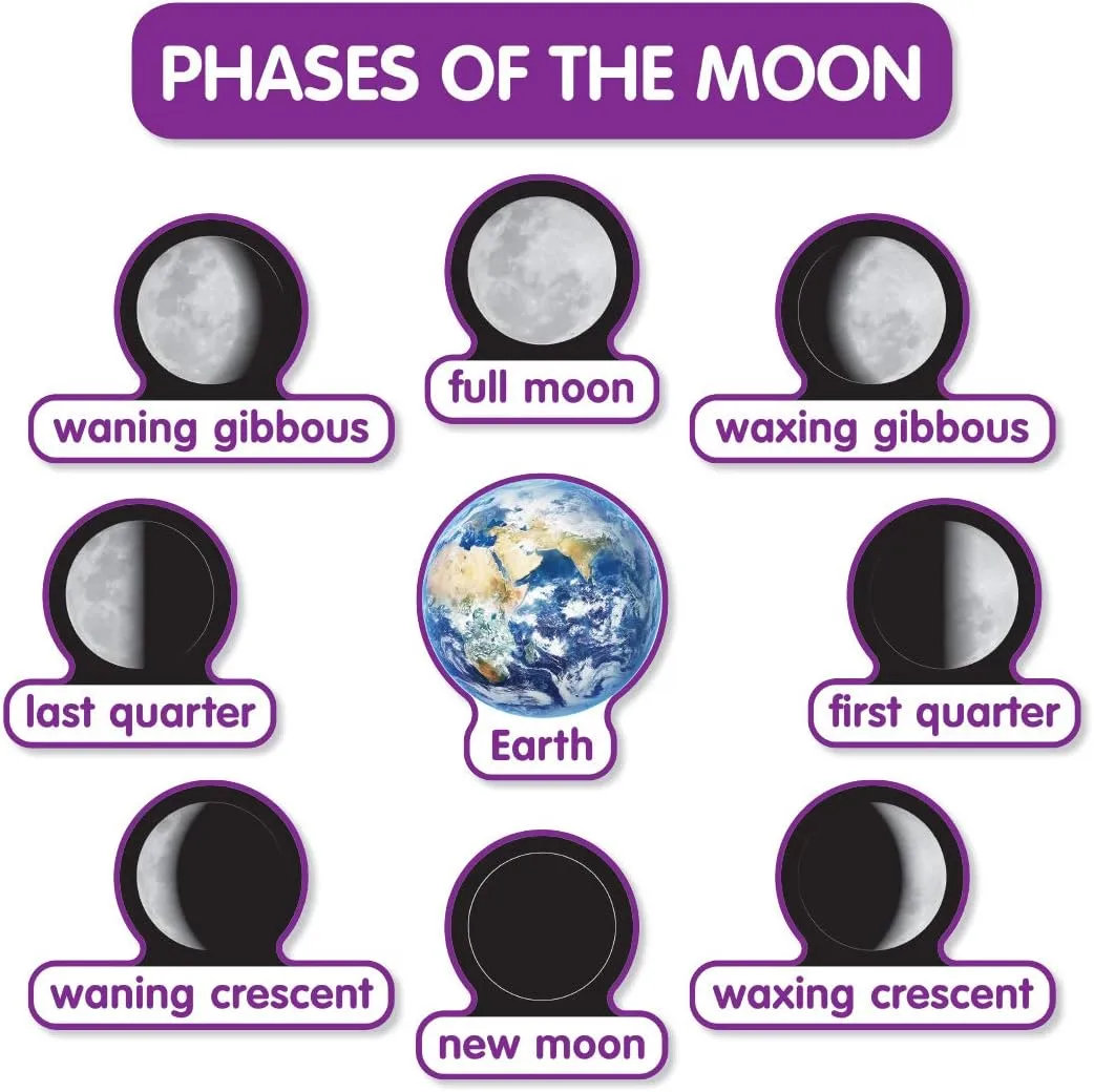 Scholastic Teachers Friend Early Science Concepts Bulletin Board Set, Preschool - Grade 2