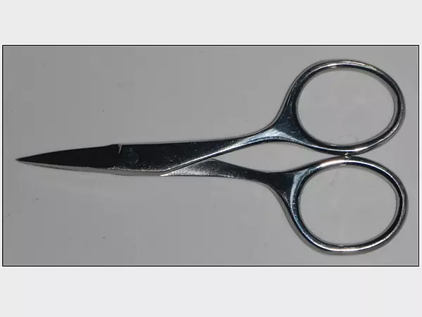 3.5 in. Surgical Scissors
