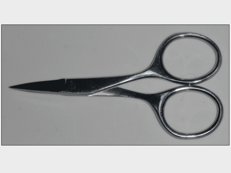3.5 in. Surgical Scissors