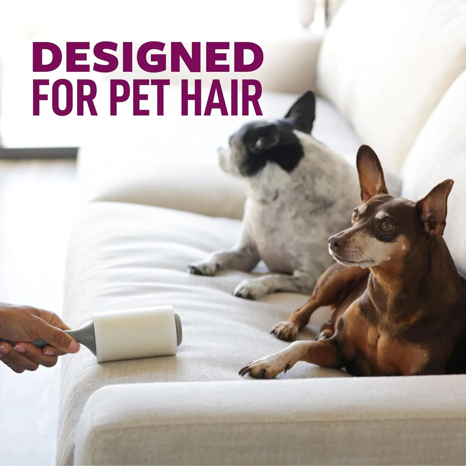 Scotch-Brite Pet Hair Pickup Extra Sticky Large Lint Roller, 1 Pack, 60 Sheets