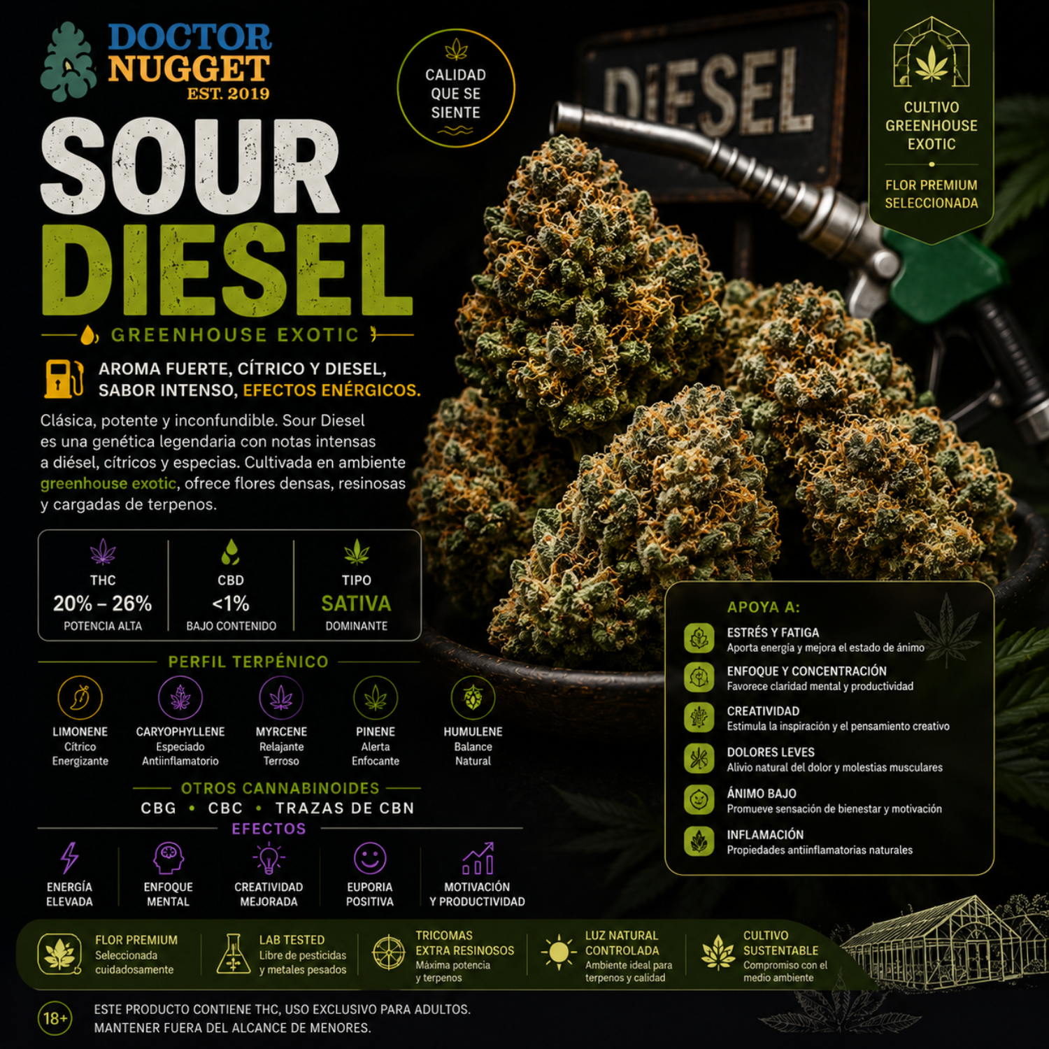 Dr. Nugget Sour Diesel THC Flor