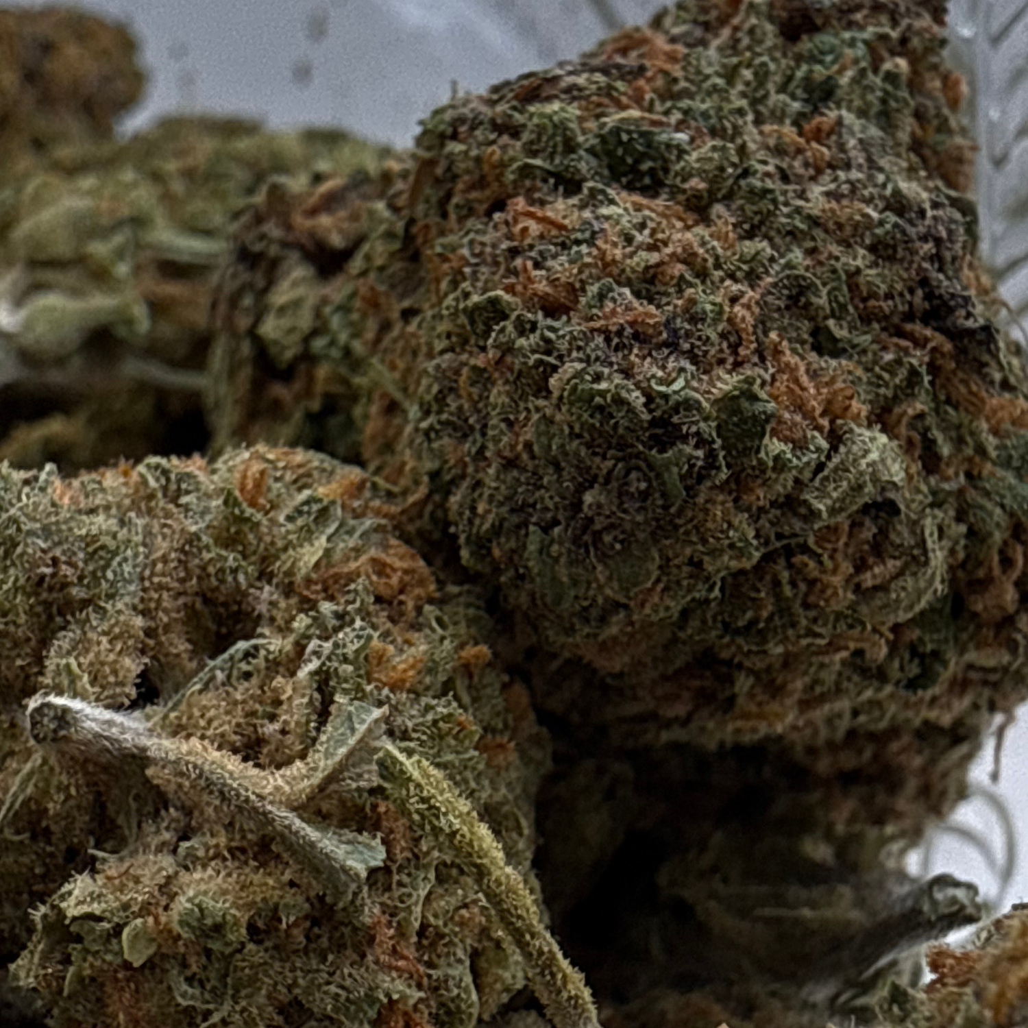 Sour Diesel Greenhouse Exotic