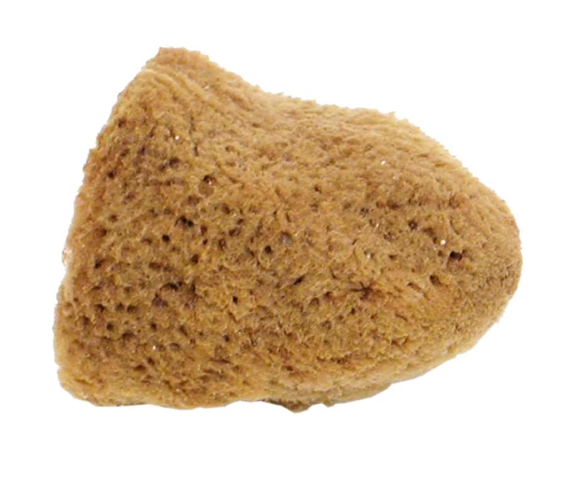 Biology Materials Kit (no microscope and no scale)