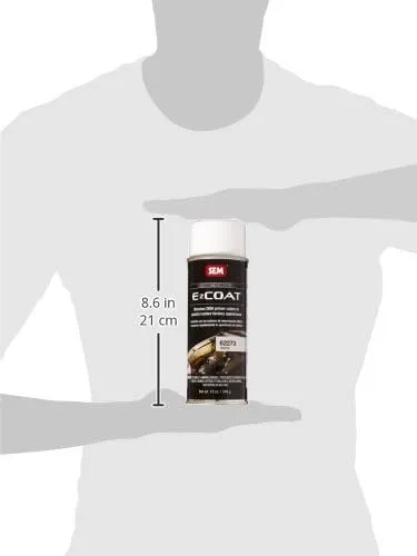 SEM Ez Coat - 16oz Aerosol Can - White