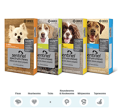 Sentinel Spectrum® (milbemycin oxime, lufenuron, praziquantel) Chews for Dogs
